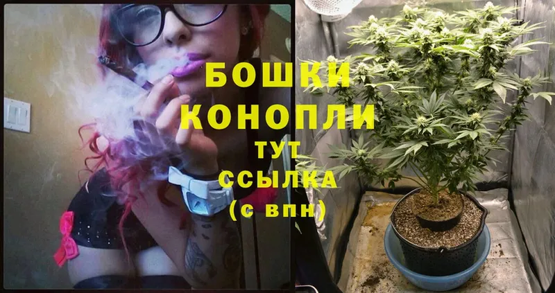 Канабис SATIVA & INDICA  кракен ONION  Оса 